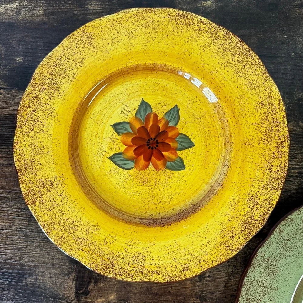 Casa Cristina Home Collection by CBK Floral Ceramic Dinner Plates Set of 2 Mixed